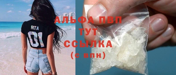 гидра Горняк