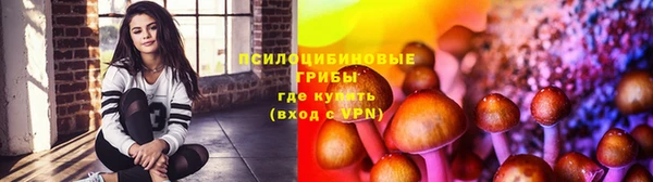 гидра Горняк