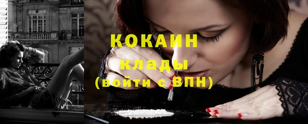 гидра Горняк