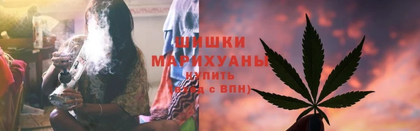 гидра Горняк