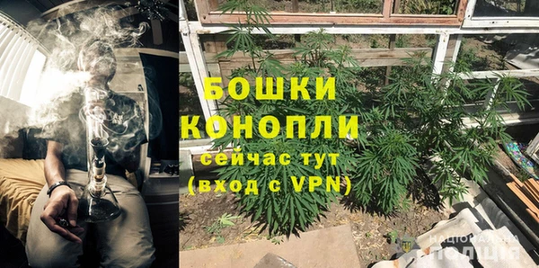 гидра Горняк