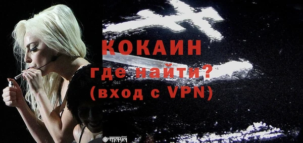 гидра Горняк