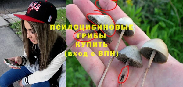 гидра Горняк