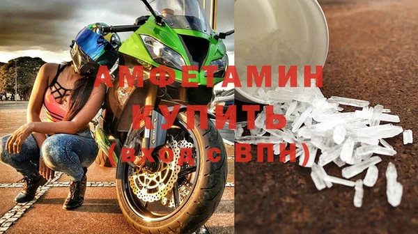 гидра Горняк