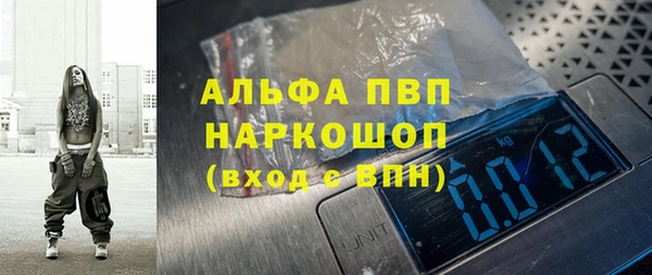 гидра Горняк