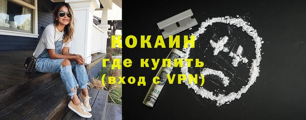 гидра Горняк