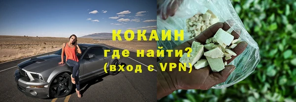 гидра Горняк