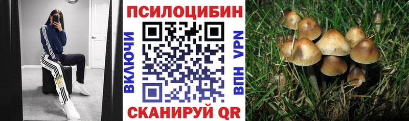 Псилоцибиновые грибы GOLDEN TEACHER  Купить  Зима 