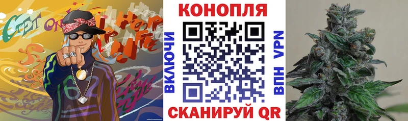 Канабис AK-47 Купить Зима